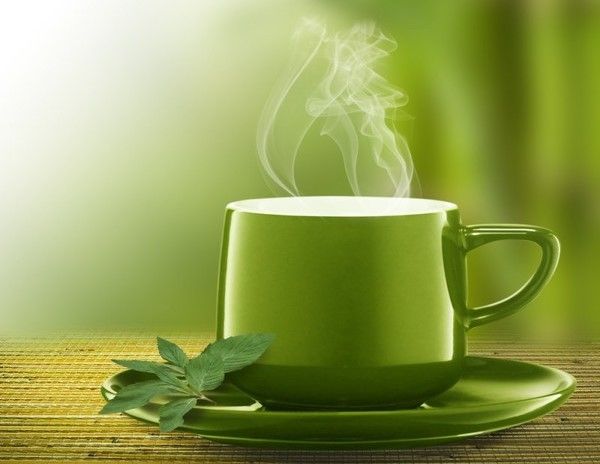 Травяной чай из лофанта