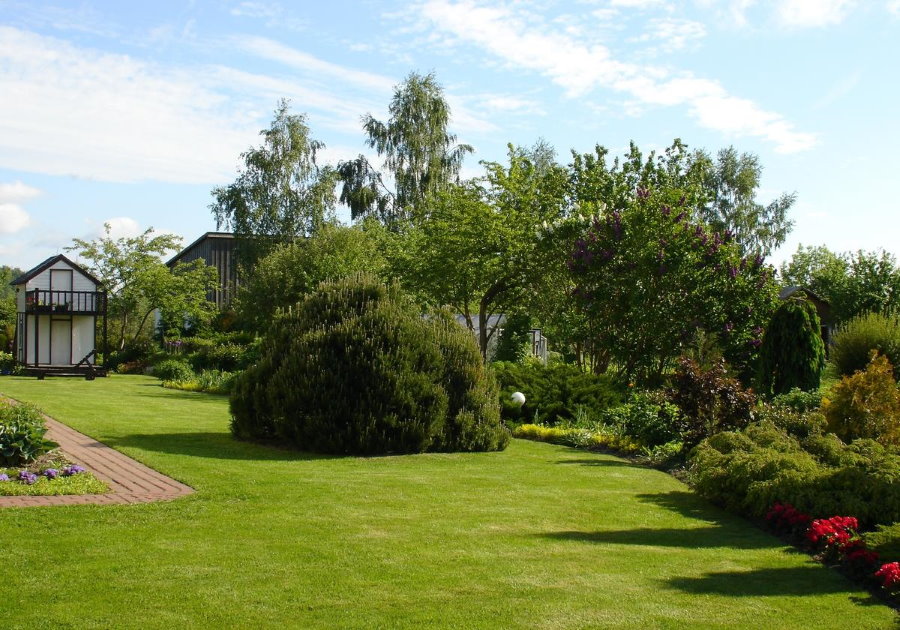 Ровна поверхность газона на садовом участке