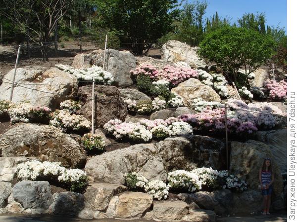 Каменистый сад в японском стиле занимает немалую площадь