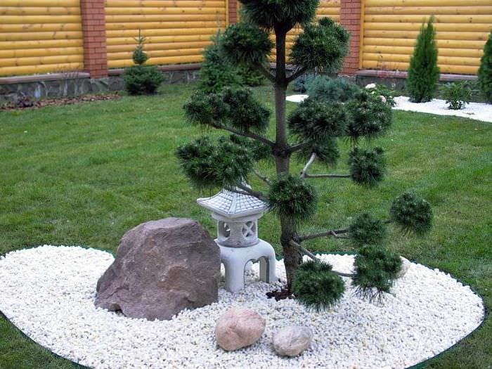 Миниатюрная композиция в стиле японского сада