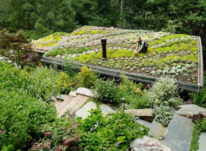 Использование плоской крыши дома в качестве сада и огорода