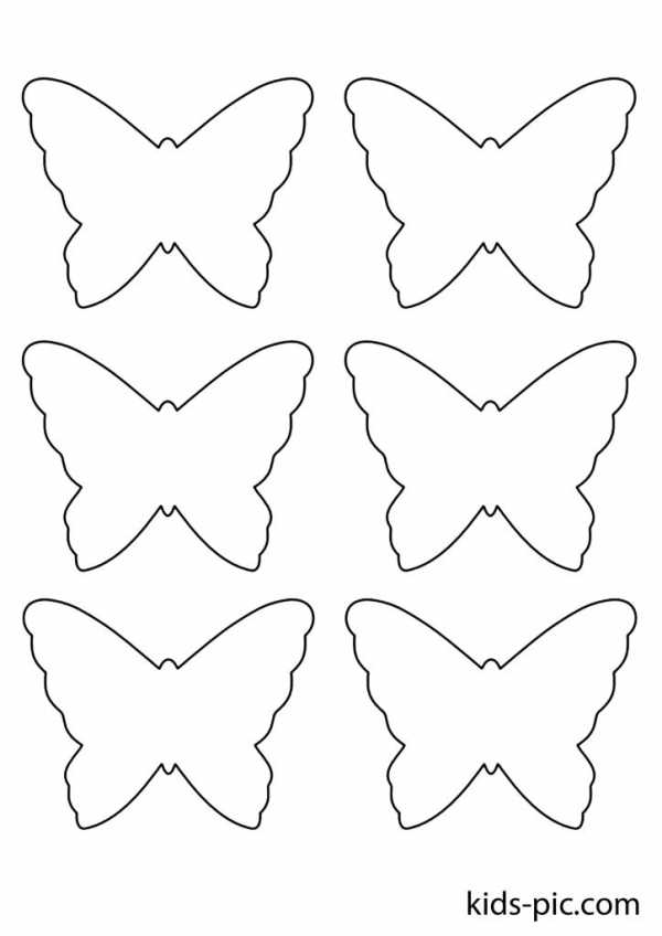 Бабочки и цветы картинки для вырезания